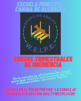 /album/fotogaleria%3a-%c2%bfquienes-somos/texto-2-png/